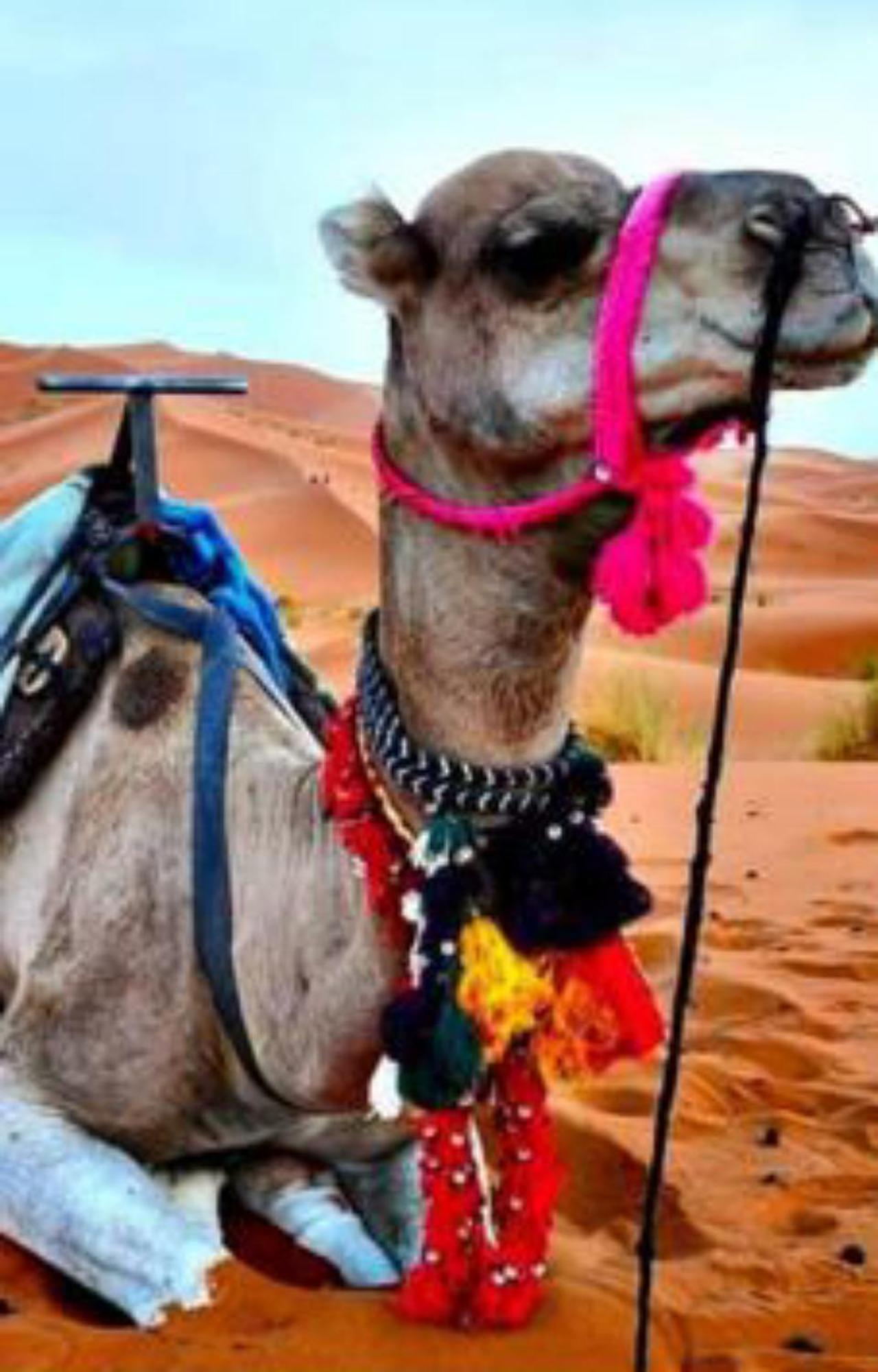 Luxury Desert Camp Merzouga Exteriör bild